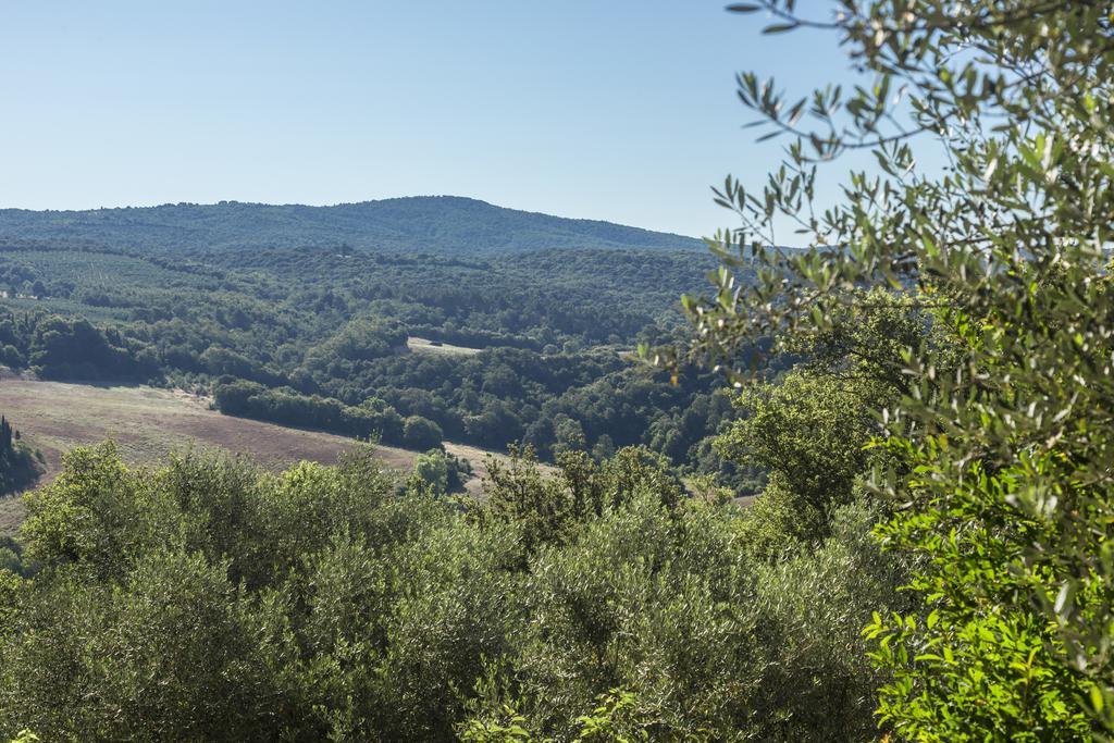 Casale Degli Ulivi Hotel Rapolano Terme Kültér fotó