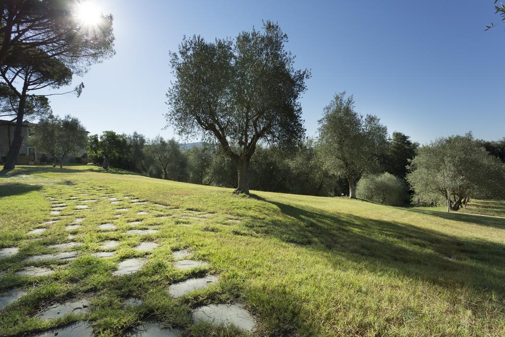 Casale Degli Ulivi Hotel Rapolano Terme Kültér fotó