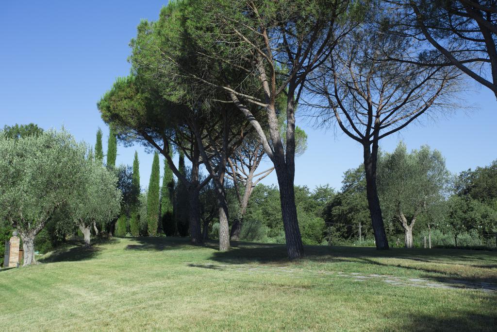 Casale Degli Ulivi Hotel Rapolano Terme Kültér fotó