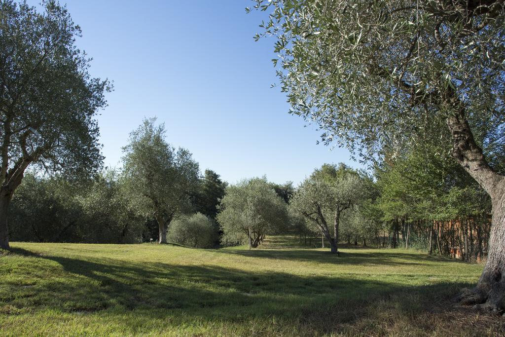 Casale Degli Ulivi Hotel Rapolano Terme Kültér fotó