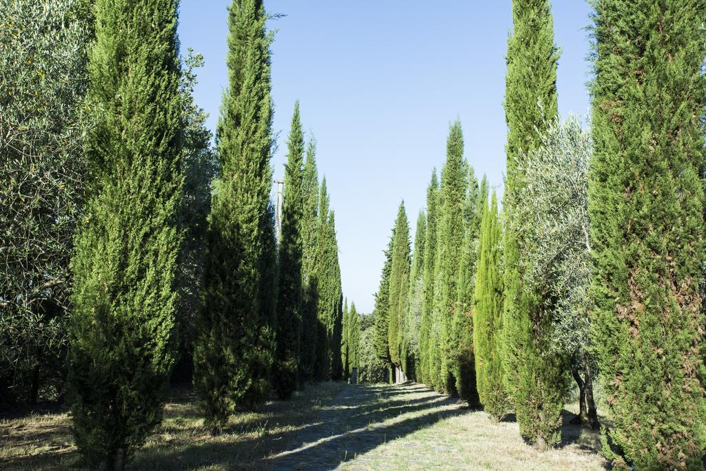 Casale Degli Ulivi Hotel Rapolano Terme Kültér fotó