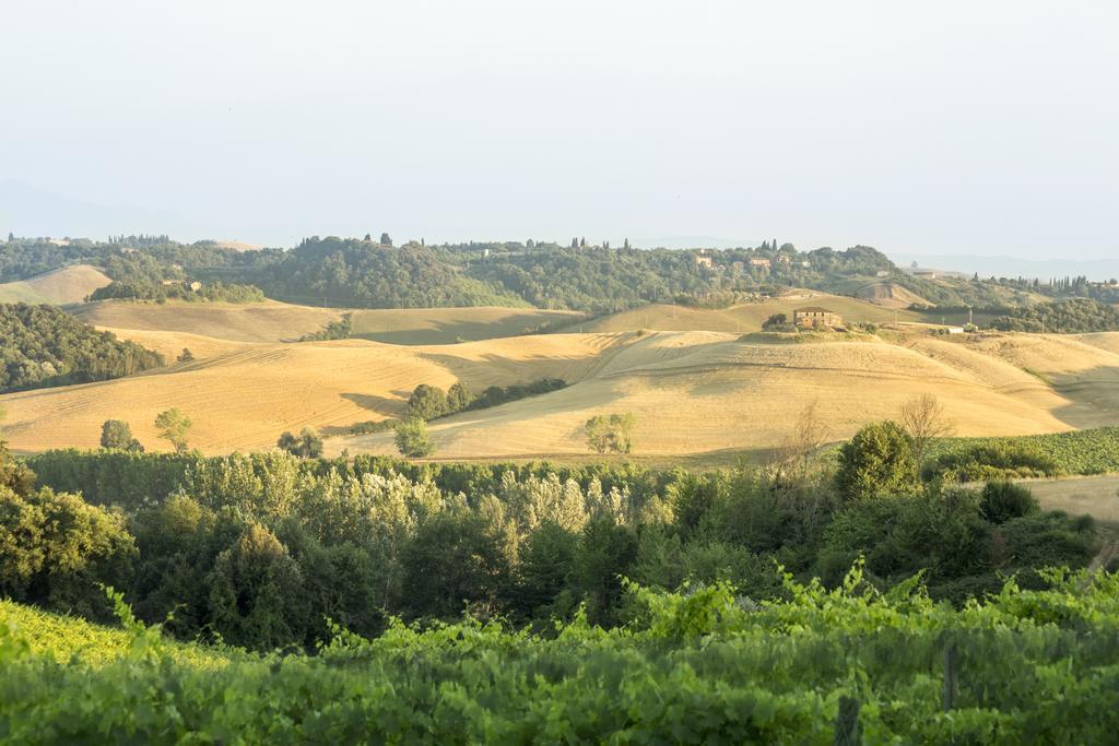 Casale Degli Ulivi Hotel Rapolano Terme Kültér fotó